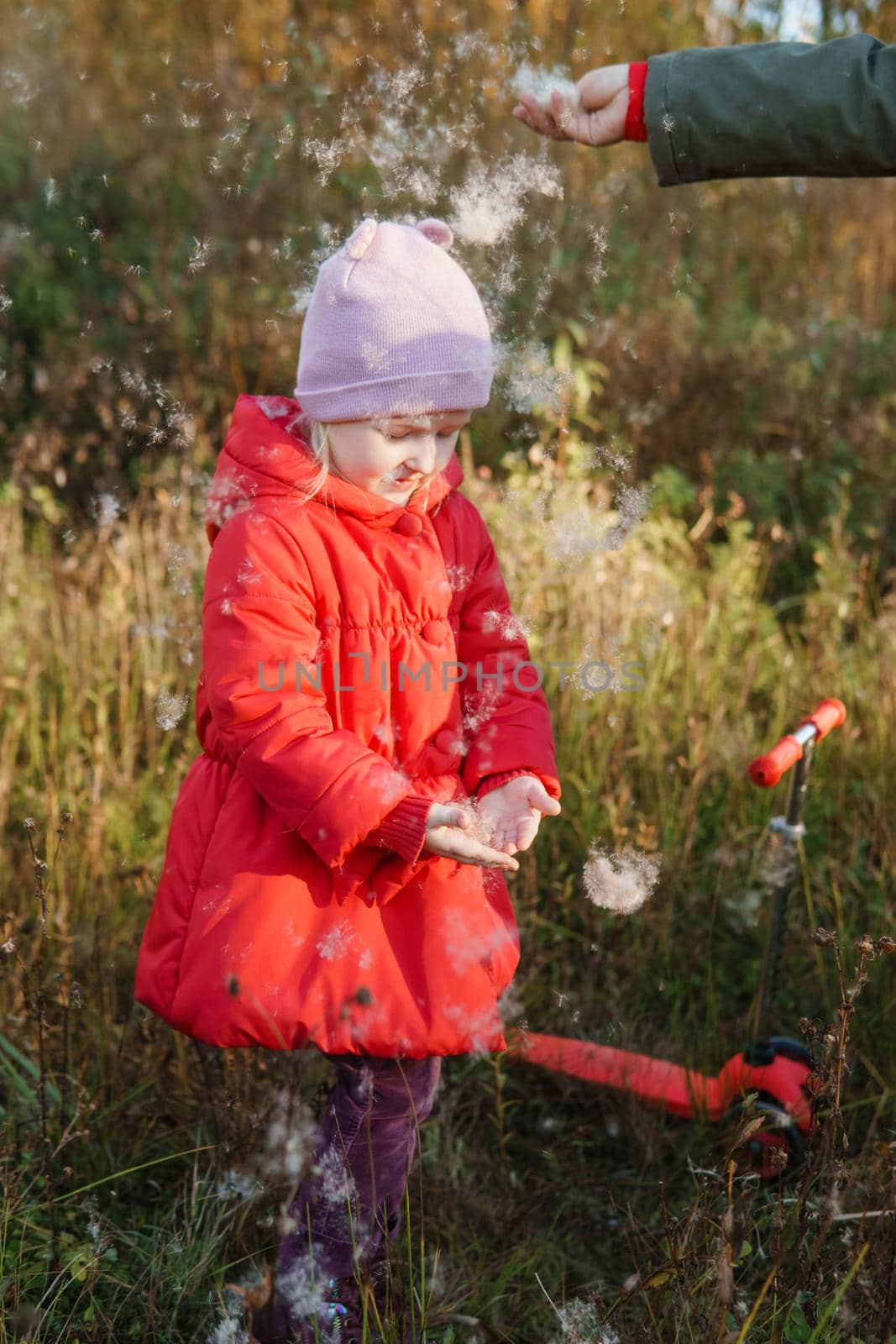 A little girl in a red coat walks in nature in an autumn grove. The season is autumn.