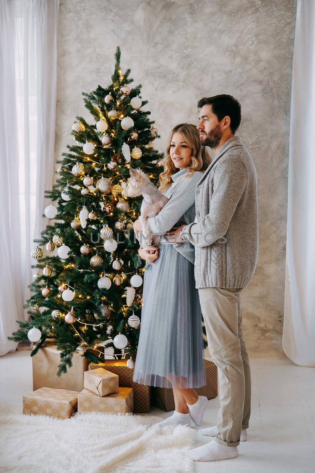 A happy couple in love - a man and a woman. A family in a bright New Year's interior with a Christmas tree.