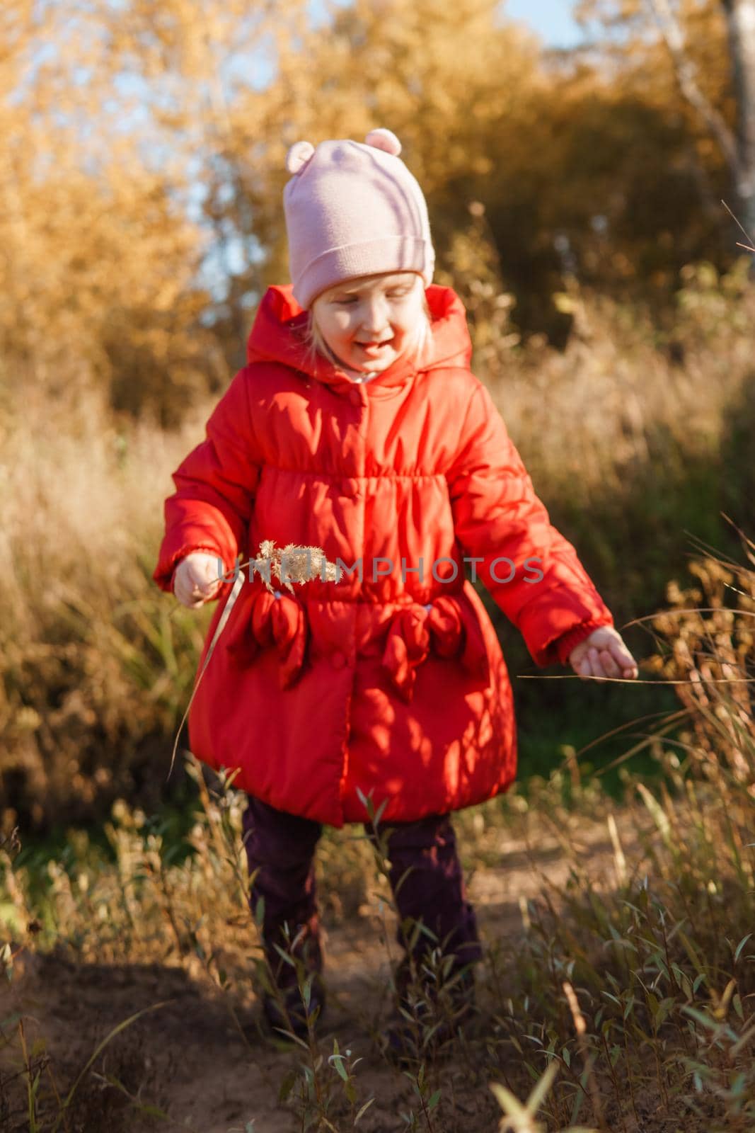 A little girl in a red coat walks in nature in an autumn grove. The season is autumn.