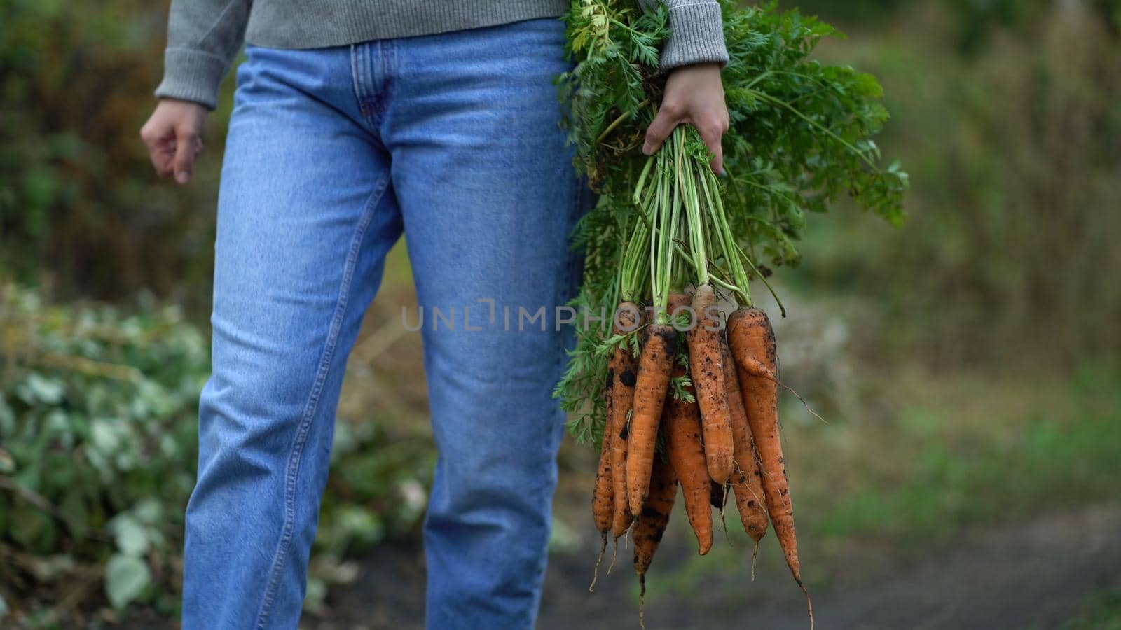 a woman farmer walks along a rural road and carries fresh carrots holding a bunch of haulm with her hand by Petrokill