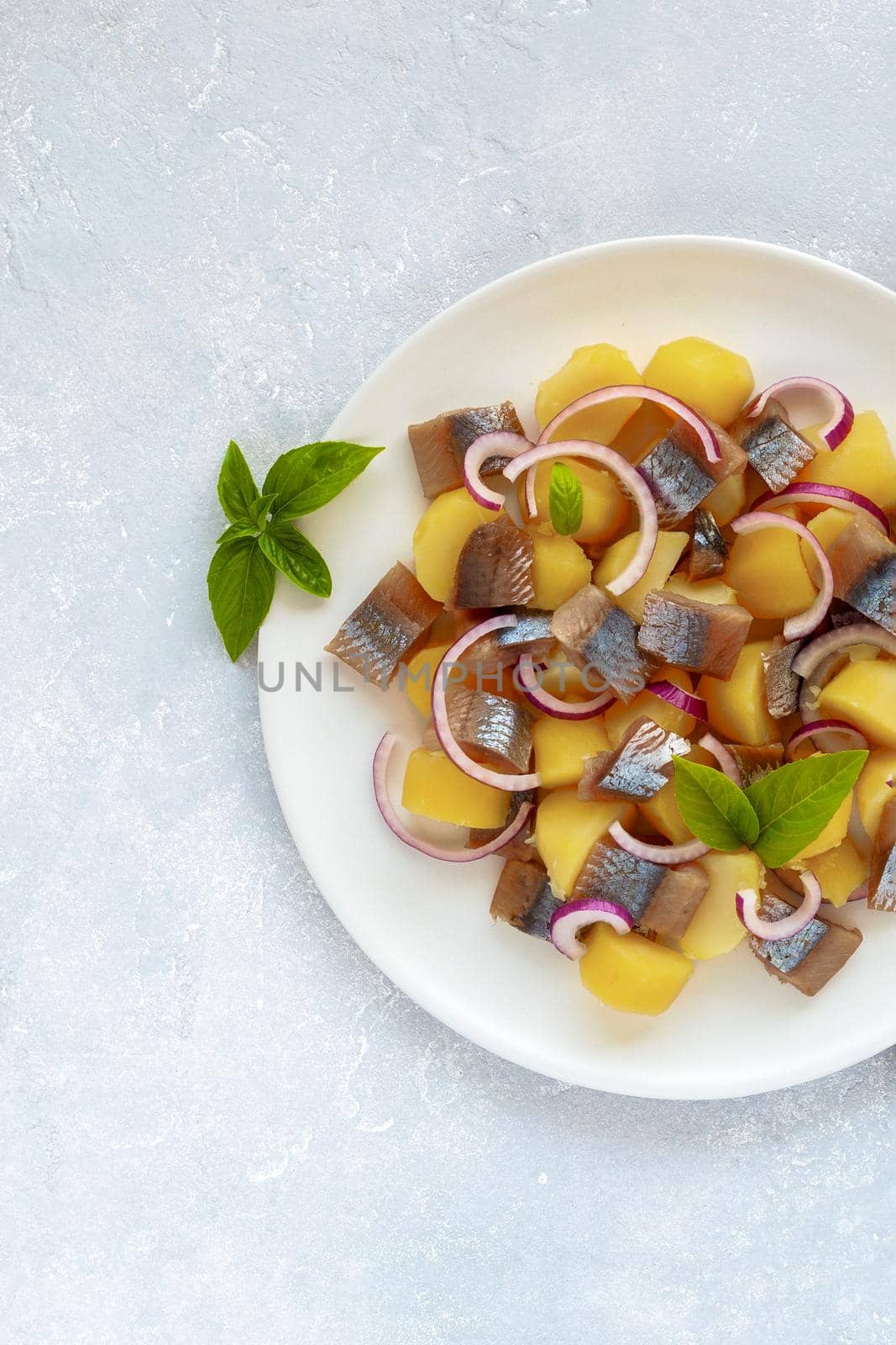 portion of smoked salmon, potato and red onion salad, top view, copy space