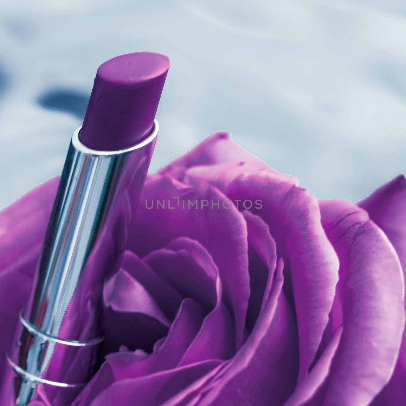 Purple lipstick and rose flower on liquid background, waterproof glamour make-up and lip gloss cosmetics product for luxury beauty brand holiday design by Anneleven