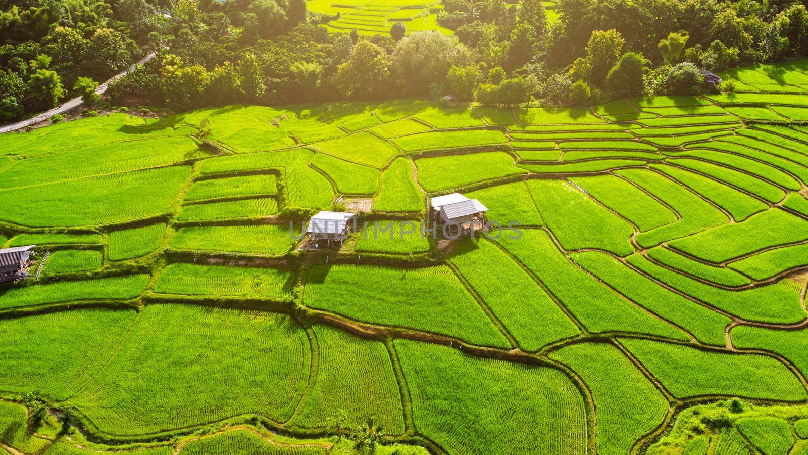 Aerial view of the green rice terraces on the mountains in spring. Beautiful green area of young rice fields or agricultural land in northern Thailand. Natural landscape background. by TEERASAK