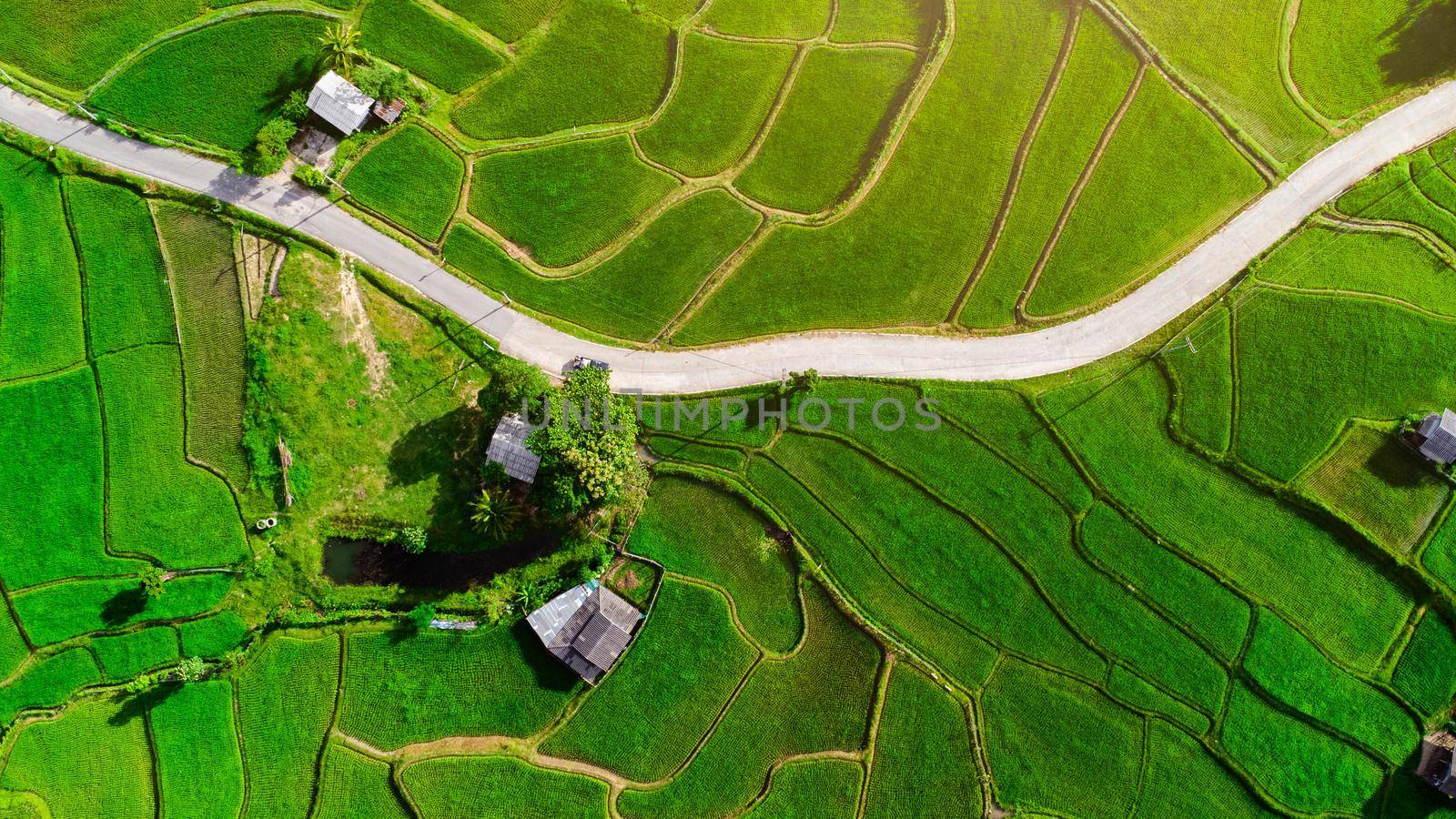 aerial view, agricultural, agriculture, asia, background, beautiful, conservation, countryside, cultivation, culture, ecology, environment, farm, farmland, field, flying, food, forest, grass, green, hill, hut, landscape, meadow, mountain, natural, nature, organic, outdoor, paddy, plant, plantation, rice, rural, scenery, scenic, sky, spring, summer, sunlight, sunny, terrace, thailand, tourism, travel, tree, tropical, vacation, valley, village by TEERASAK