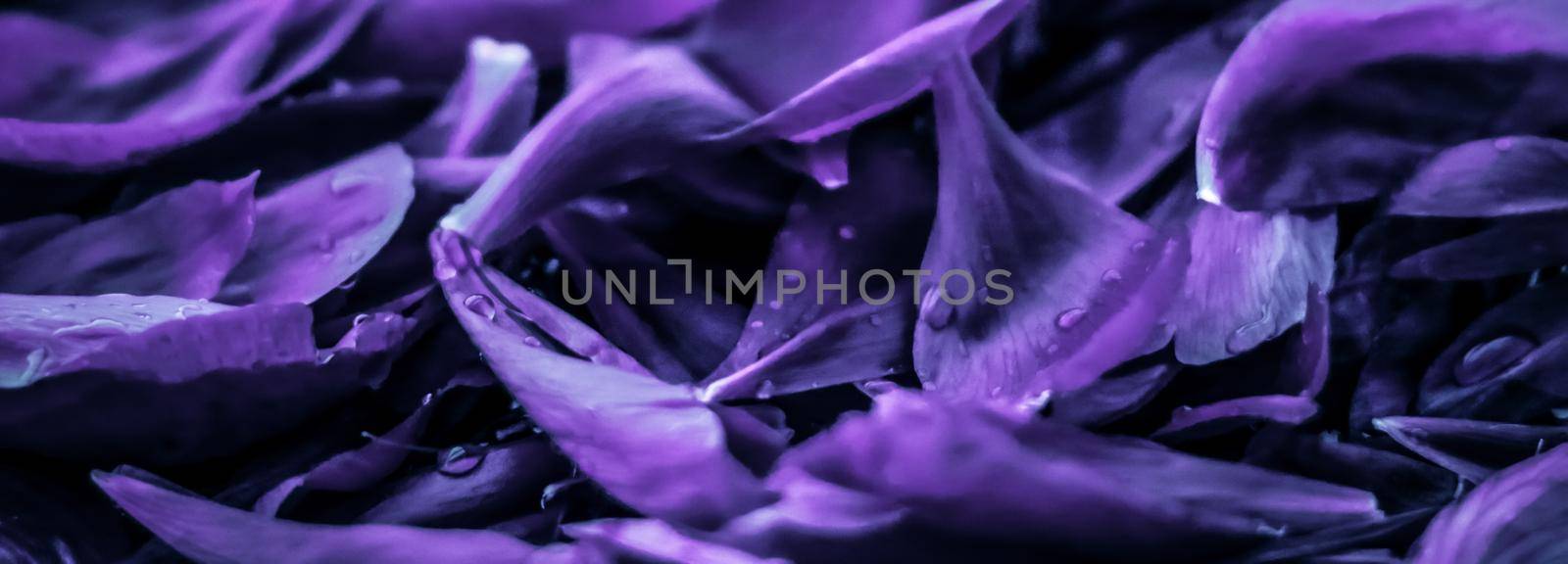 Branding, blossom and botanical concept - Abstract floral holiday art background, purple blooming flower petals in dream garden and beauty in nature for luxury spa brand and wedding invitation design