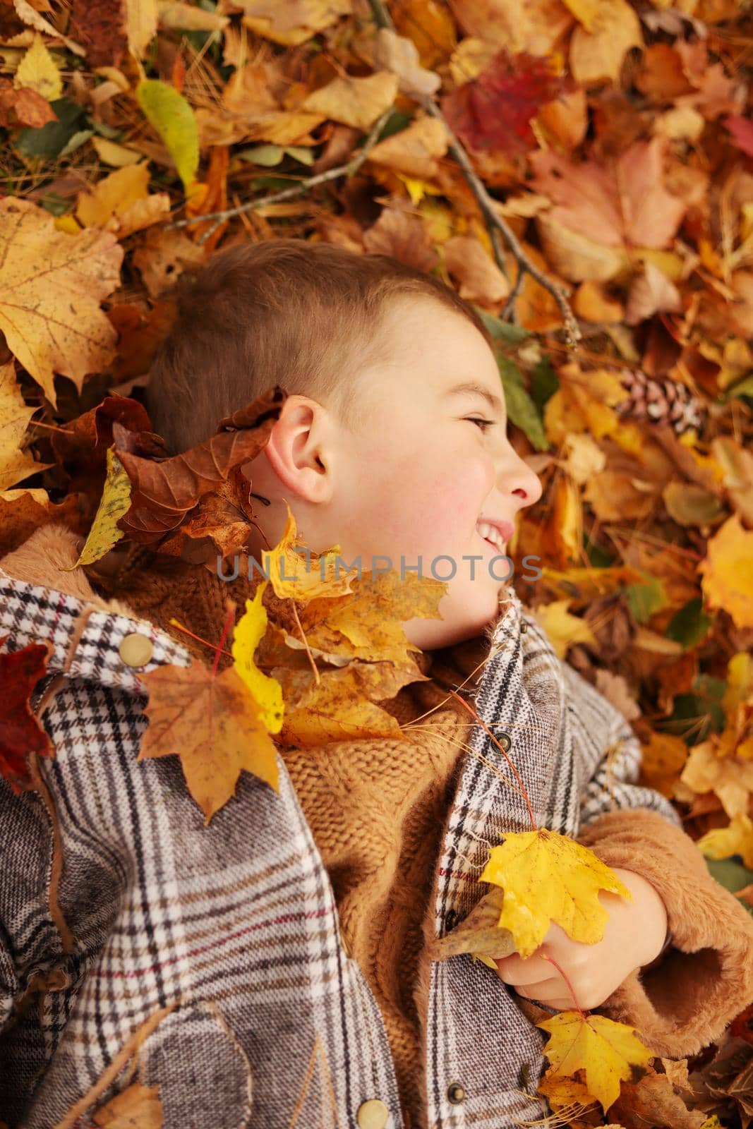 Outdoor fun in autumn. Child playing with autumn fallen leaves in park. Happy little boy lying down on yellow leaves outdoors. View from above