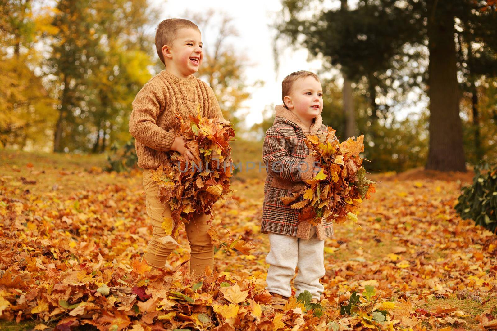 Outdoor fun in autumn. Children playing with autumn fallen leaves in park. Happy little friends