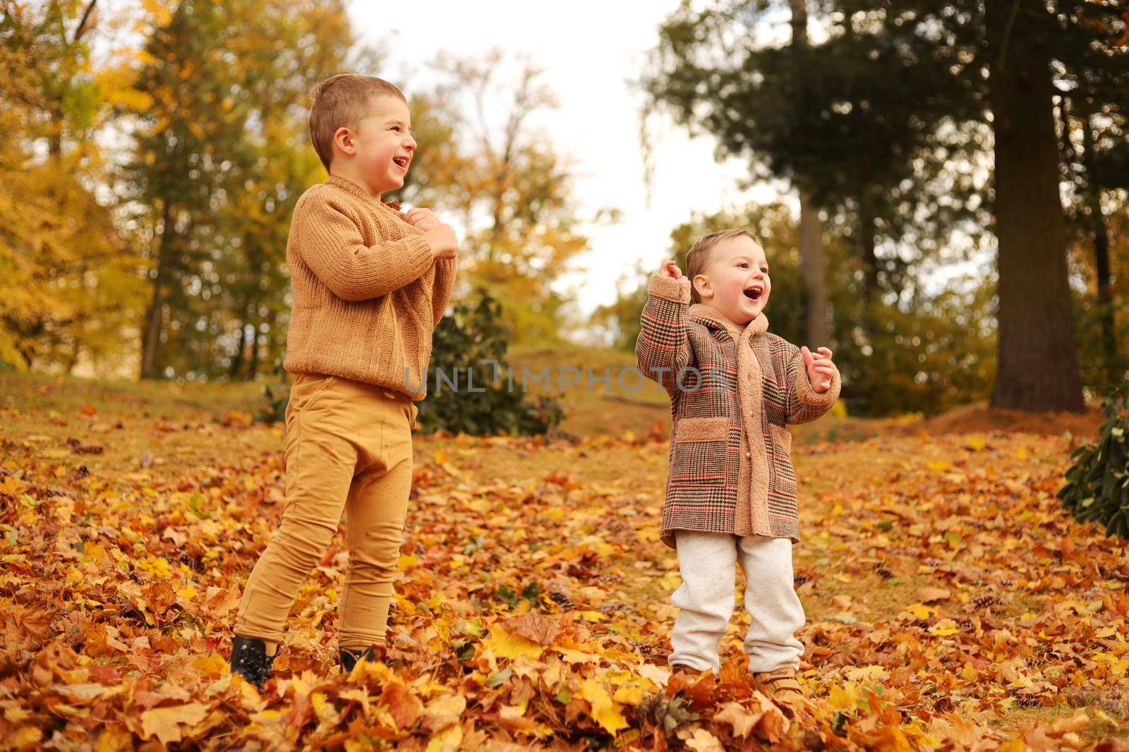 Outdoor fun in autumn. Children playing with autumn fallen leaves in park. Happy little friends. by creativebird