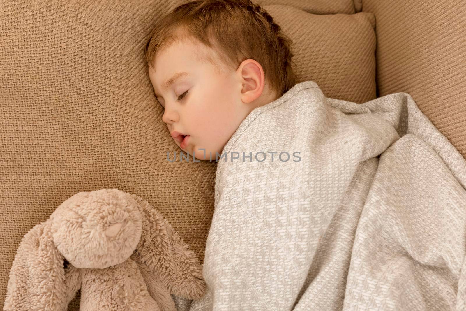 Little, cute caucasian boy sleeping on couch at home. Child taking day nap. Kid resting, relaxing with favorite fluffy toy. Sweet dreams, daily routine, healthy peaceful sleep. Cozy interior. by creativebird