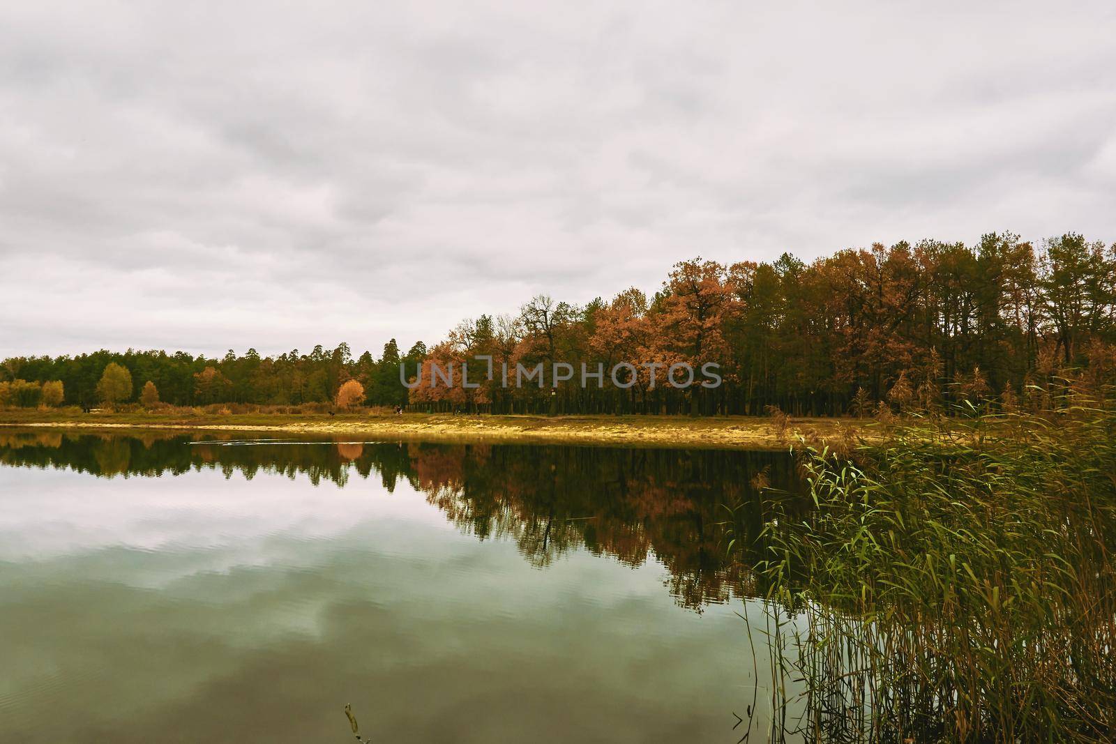 Autumn is the most colorful time of the year, when nature changes its usual appearance to golden colors in glimpses.Calm serene expanse of the autumn lake and an orange forest on the shore