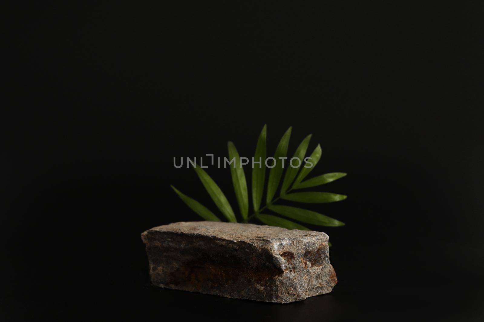 Rock podium on the black background with tropical leaves. Stone podest for product, cosmetic presentation. Creative mock up. Pedestal or platform for beauty products