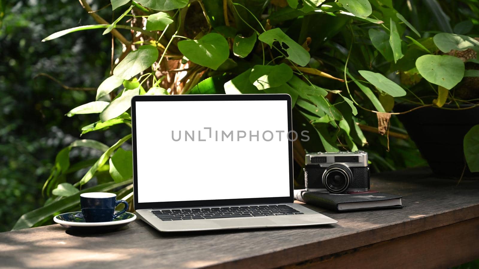 Computer laptop with white screen, coffee cup and camera on wooden table in the green garden.