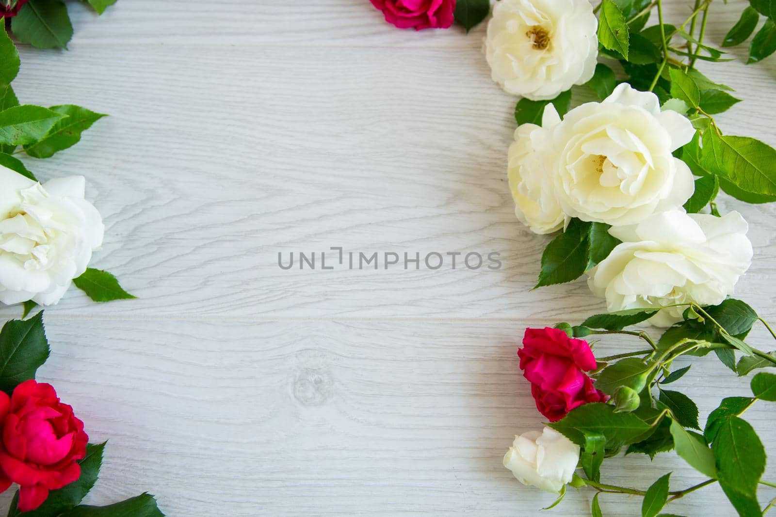 background of many red roses on a light wooden by Rawlik