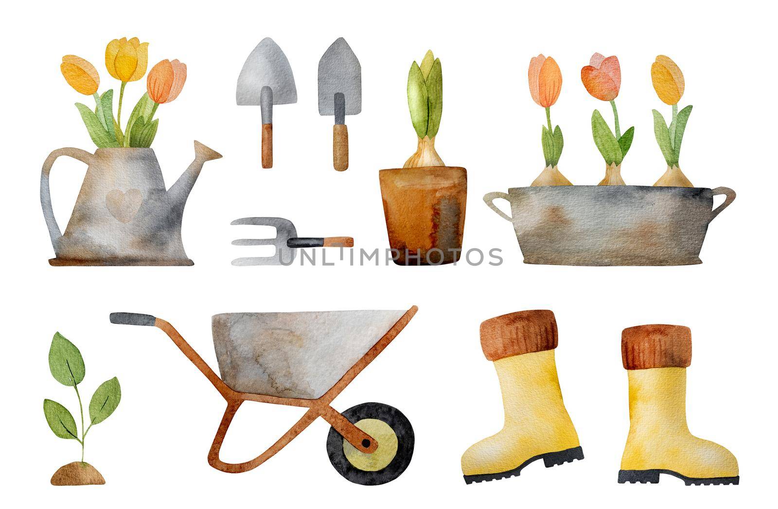 Spring garden set with tulip bouquet, tools and rubber boots watercolor painting. Cute aquarelle drawings with flowers, cart and watering can
