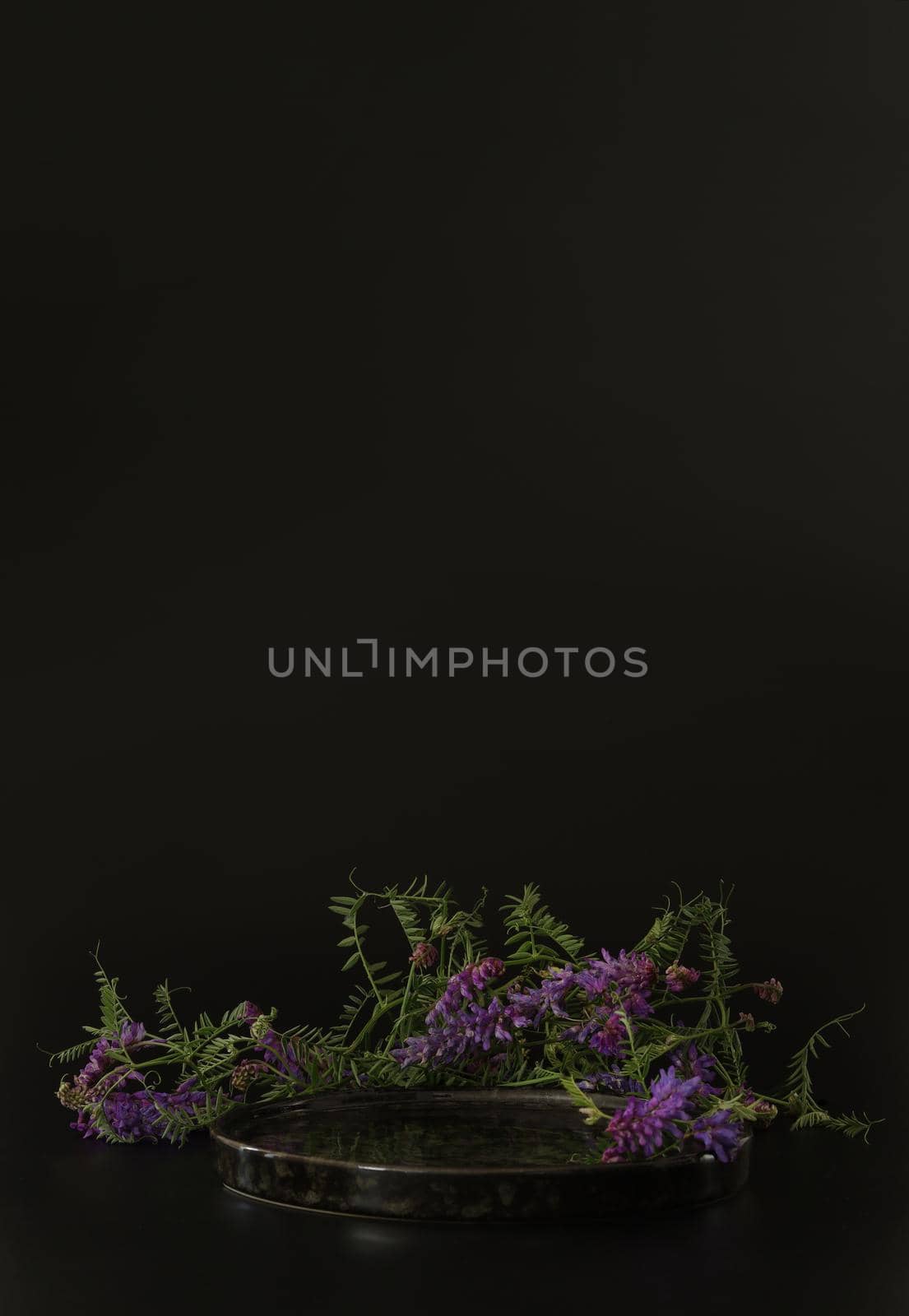 Black podium on the black background with flowers. Podium for product, cosmetic presentation. Creative mock up. Pedestal or platform for beauty products. Minimalist design, vertical view.