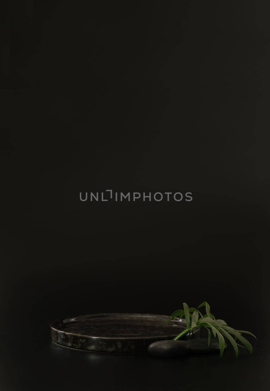 Black podium on the black background with tropical leaves and spa rocks. Podium for product, cosmetic presentation. Creative mock up. Pedestal or platform for beauty products. Minimalist design, vertical view.