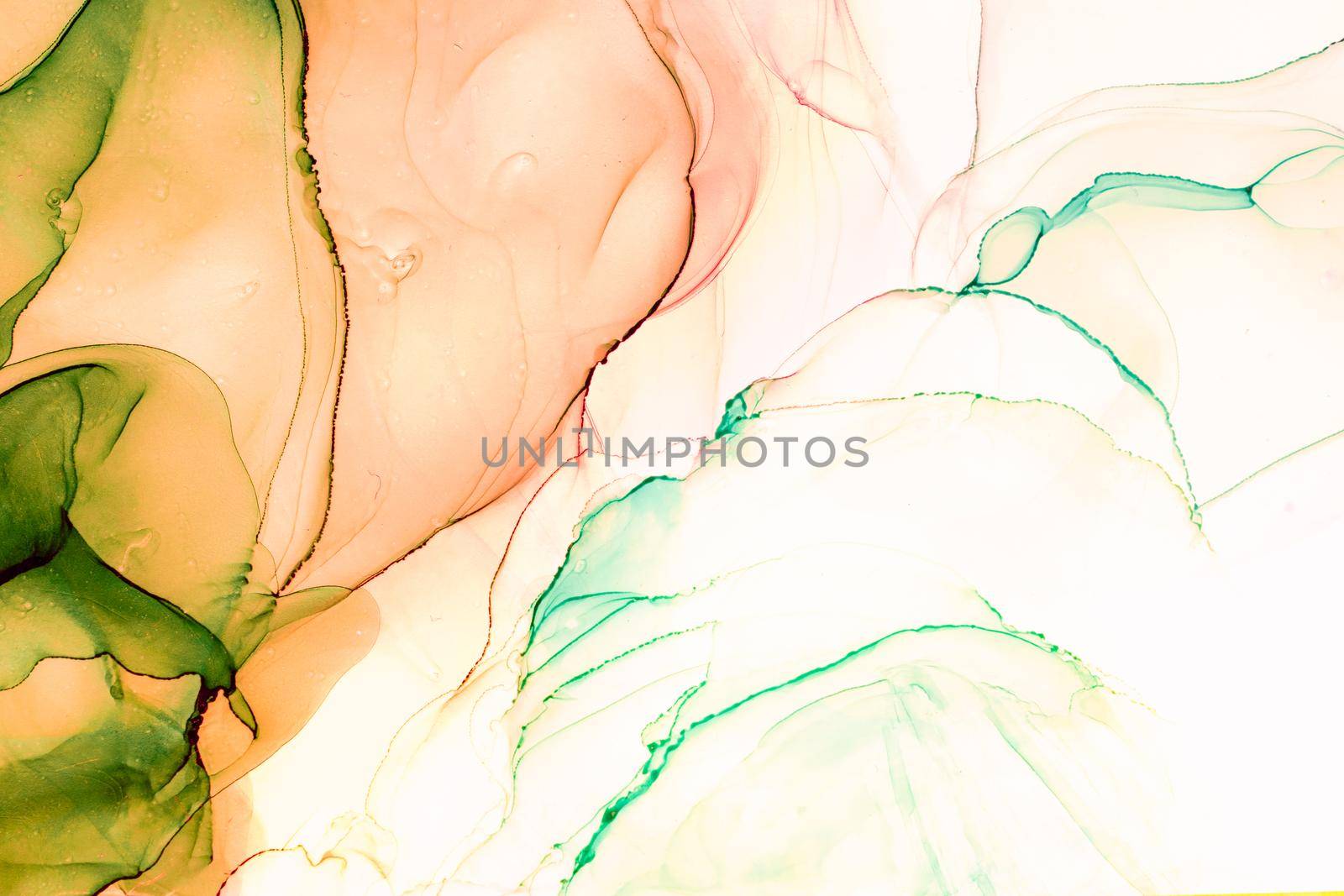 Marble ink abstract art from exquisite original painting for abstract background . Painting was painted on high quality paper texture to create smooth marble background pattern of ombre alcohol ink .