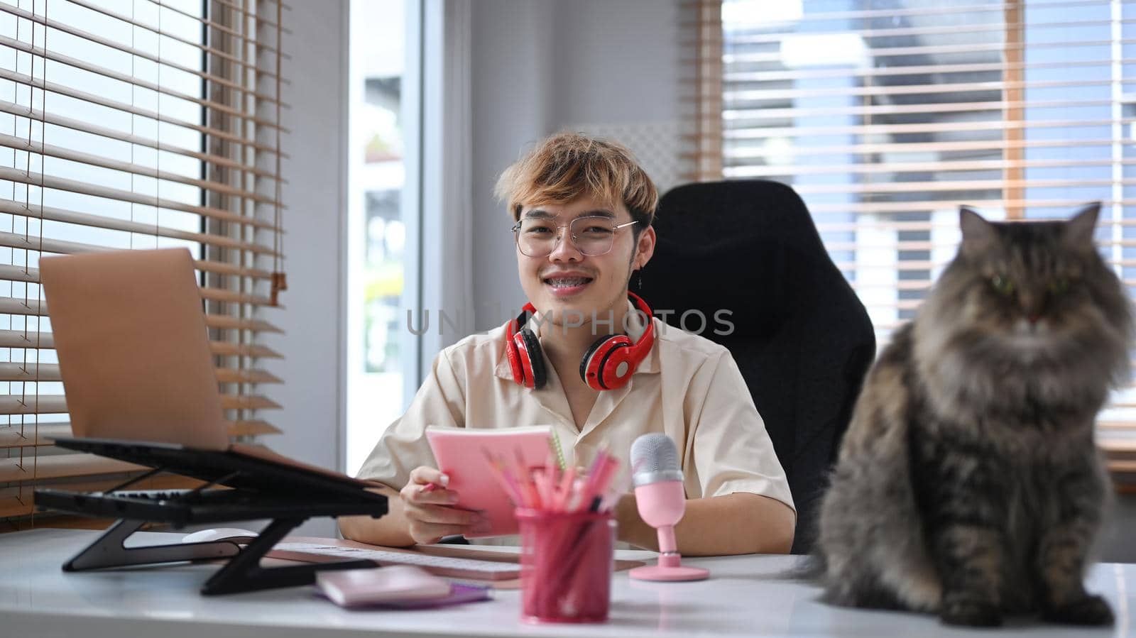 Young man sitting front of microphone and laptop at home studio with his lovely cat. Mass media, technology and people concept.