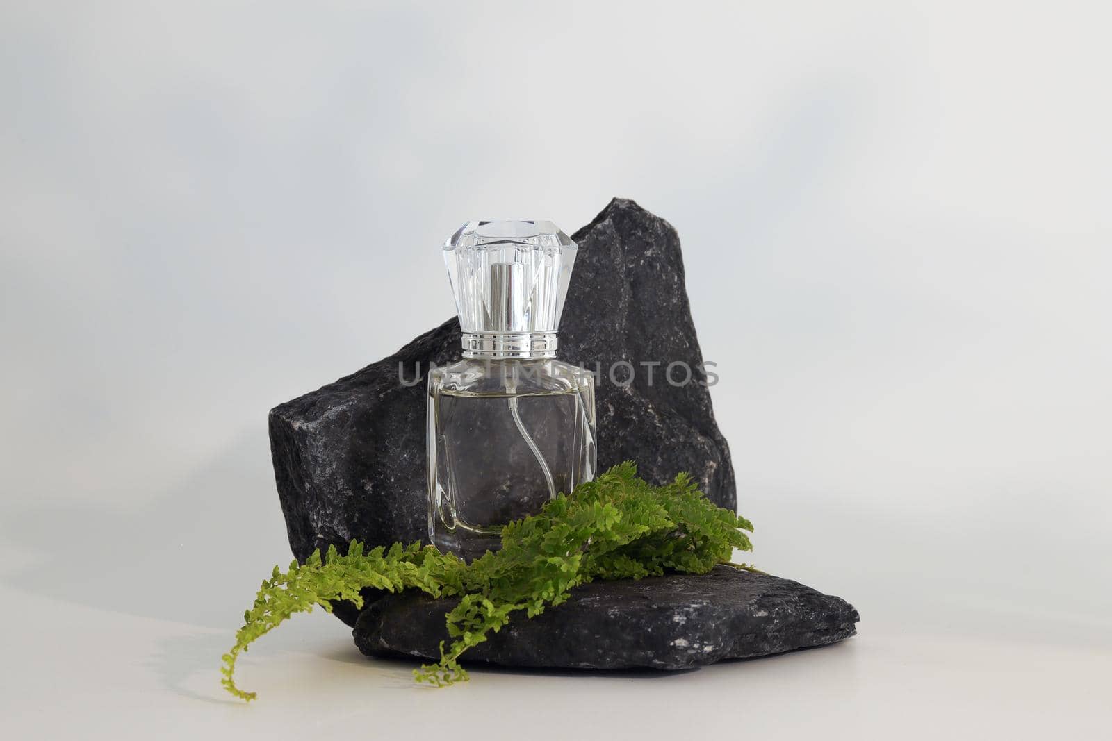Unbranded perfume bottle standing on stone podium with plants. Perfume presentation on the white background. Mockup. Trending concept in natural materials. Women's and men's essence. Natural cosmetic