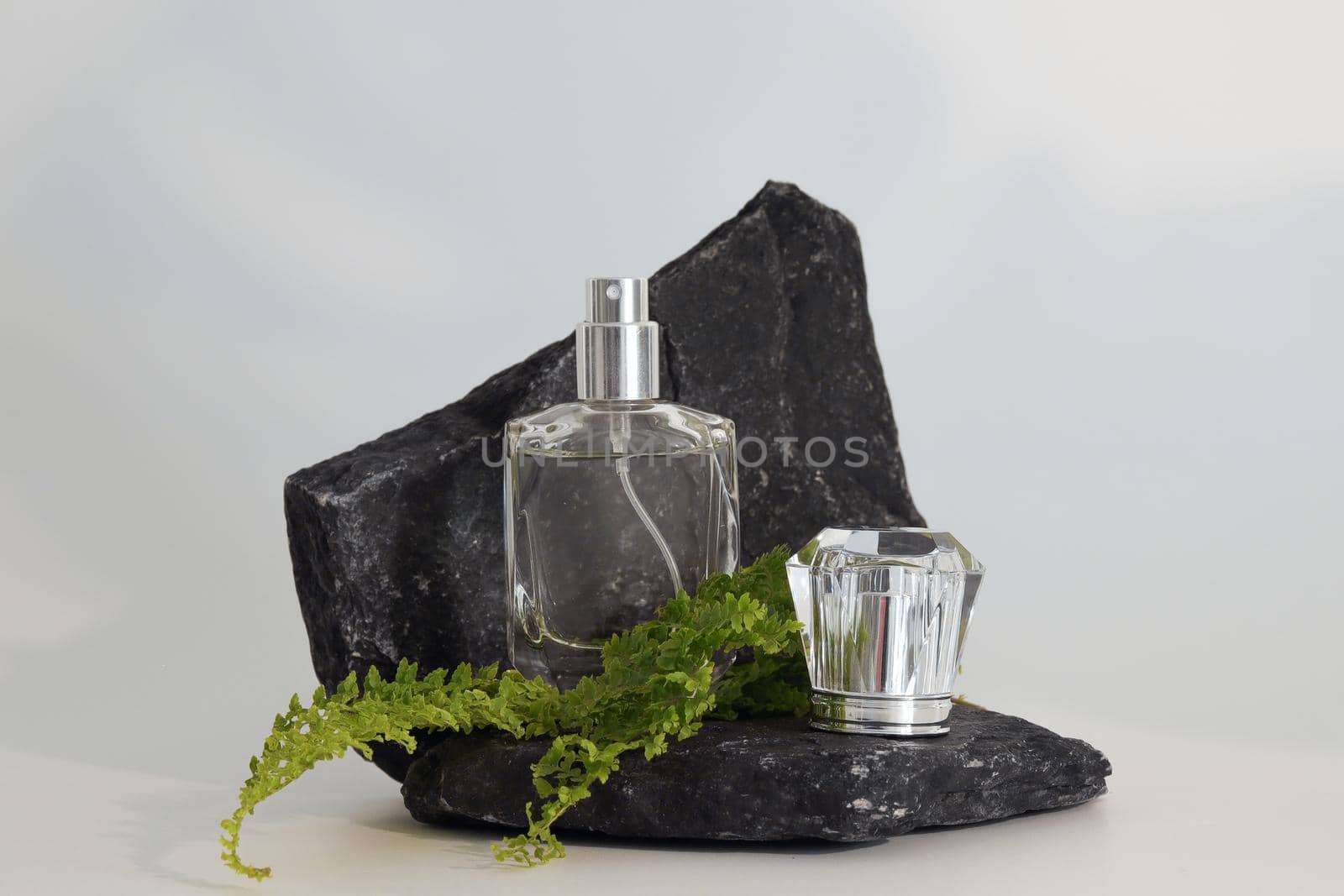 Unbranded perfume bottle standing on stone podium with plants. Perfume presentation on the white background. Mockup. Trending concept in natural materials. Women's and men's essence. Natural cosmetic
