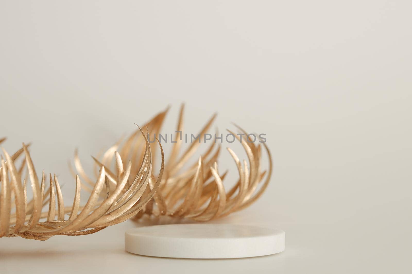 Marble podium with golden leaves on the white background. Podium for product, cosmetic presentation. Creative mock up. Pedestal or platform for beauty products. Minimalist design, horizontal view.