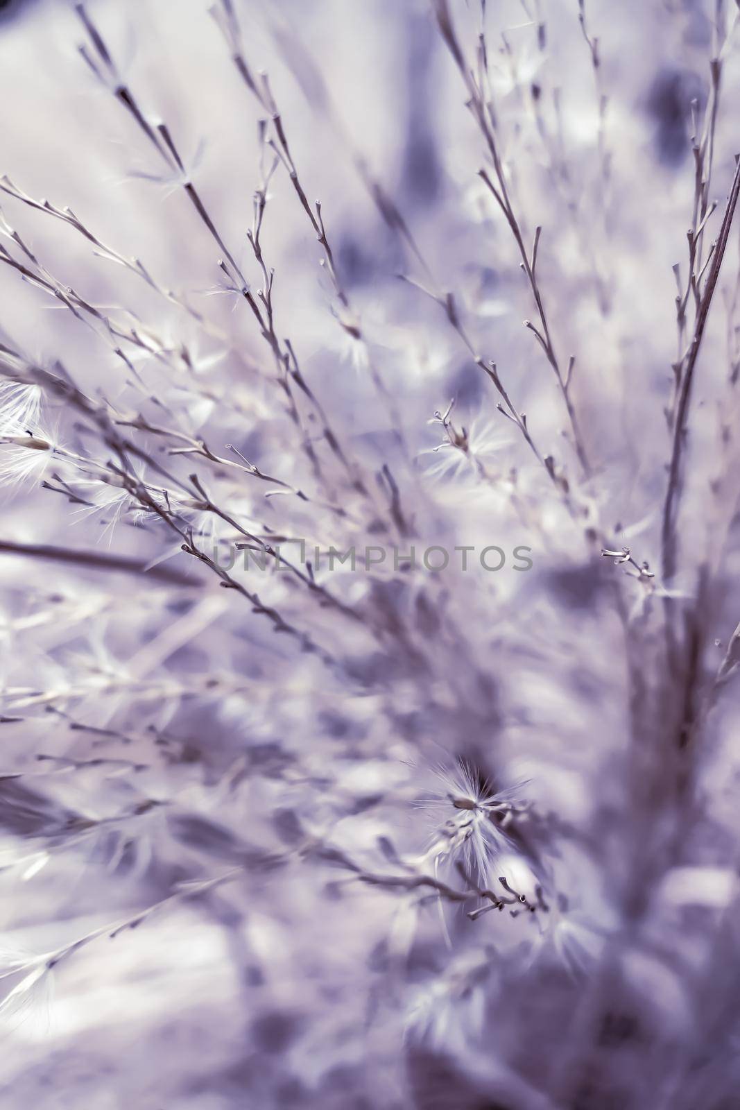 Rural landscape, pastel backdrop and environmental design concept - Vintage rustic grass and field, abstract nature background