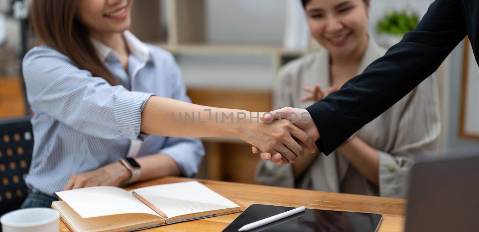 businesswomen Handshaking,happy with work,the woman she is enjoying with her workmate,Handshake Gesturing People Connection Deal Concept by nateemee