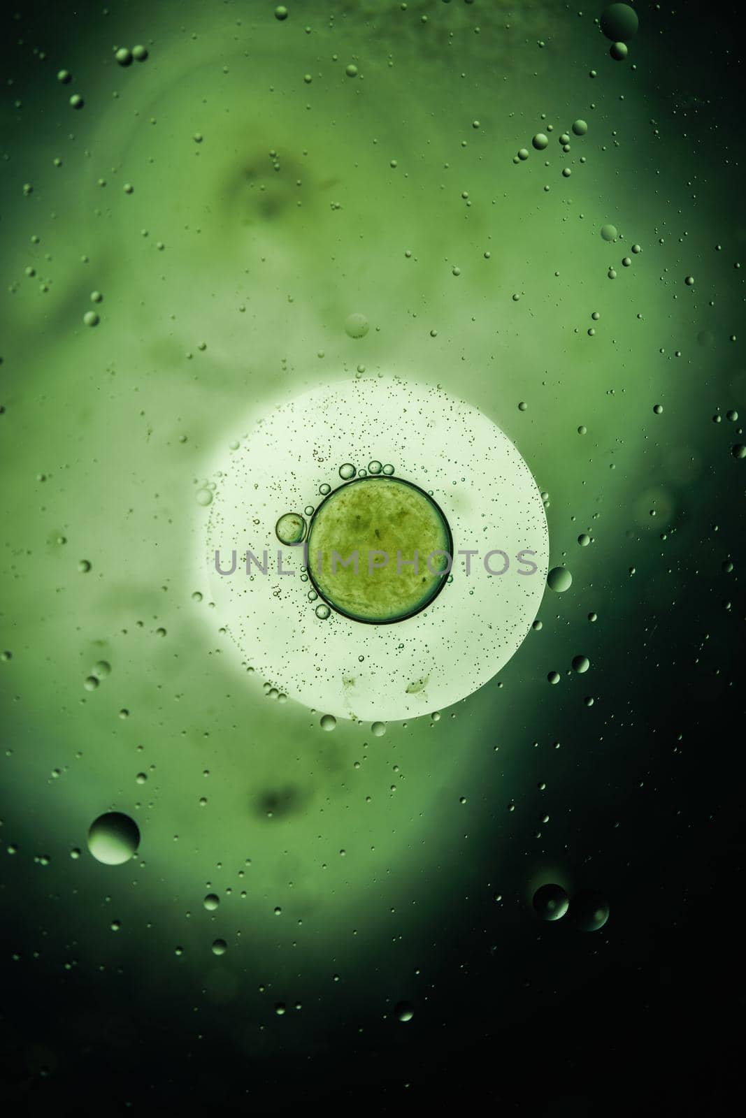 macro photography, abstract background abstract background bubbles drops