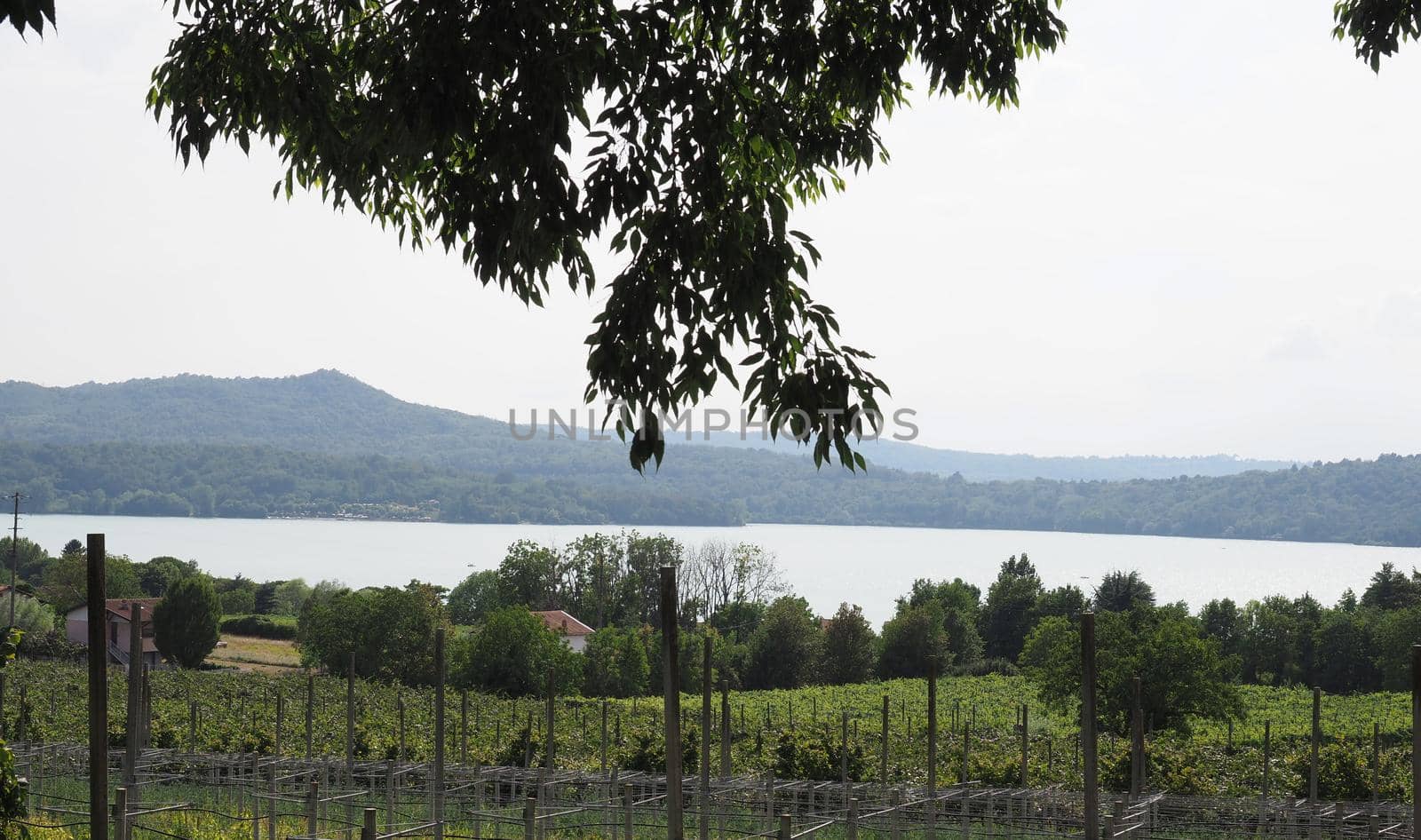 View of Lago di Viverone lake in Piedmont, Italy