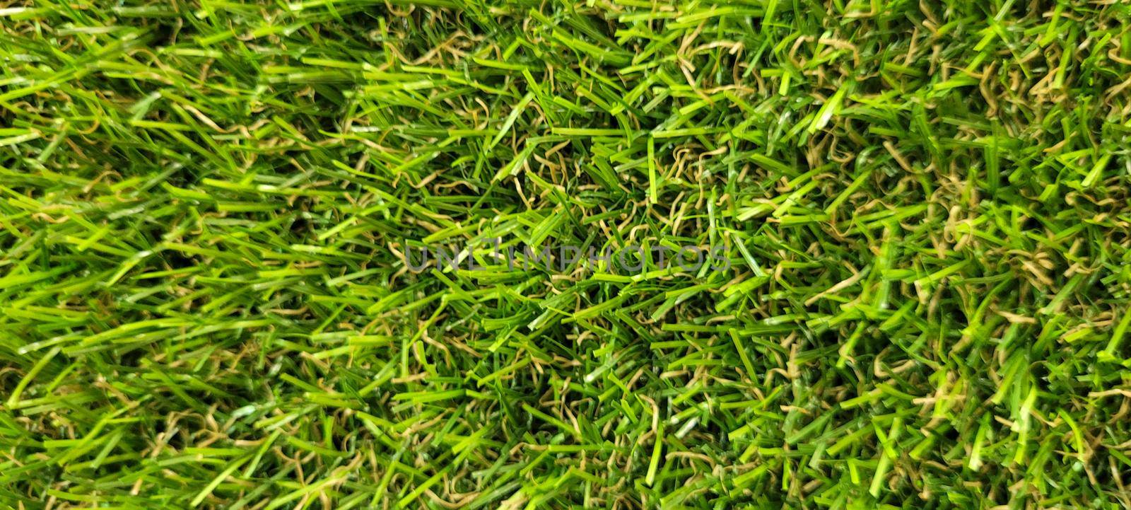 green lawn image that can be used as a natural background with cobblestones