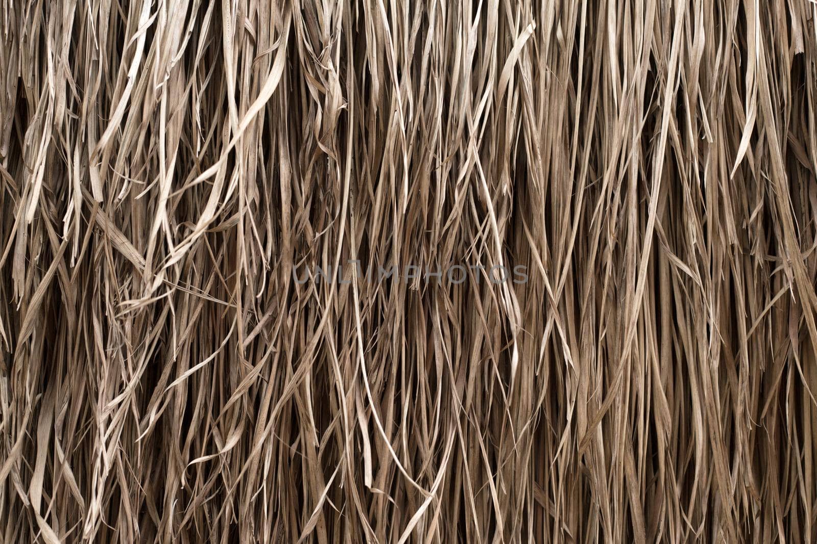 Straw texture. Tropic roof summer background