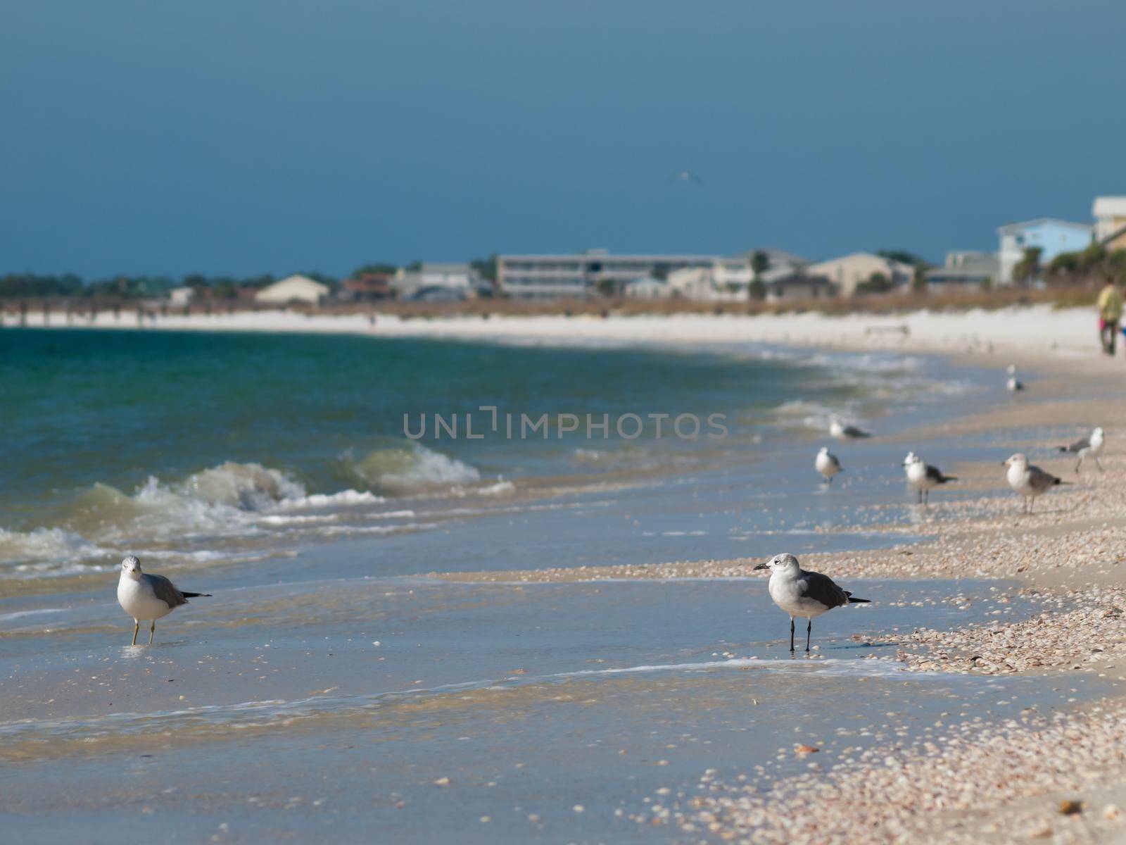 Beach houses at Mexico Beach, Florida.