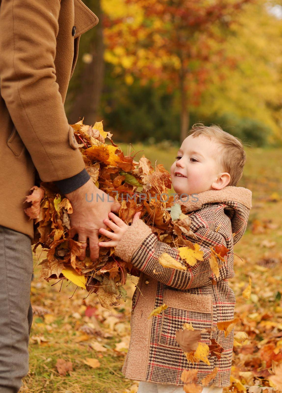Outdoor fun in autumn. Father and son playing with autumn fallen leaves in park