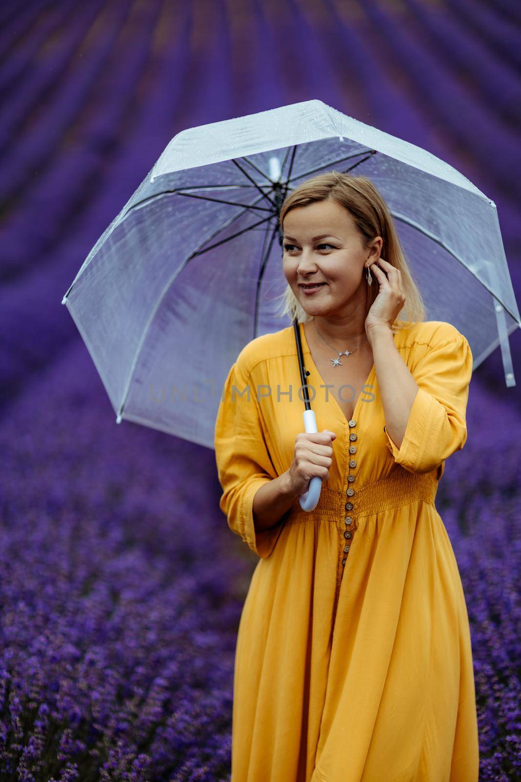 A middle-aged woman in a lavender field walks under an umbrella on a rainy day and enjoys aromatherapy. Aromatherapy concept, lavender oil, photo session in lavender.