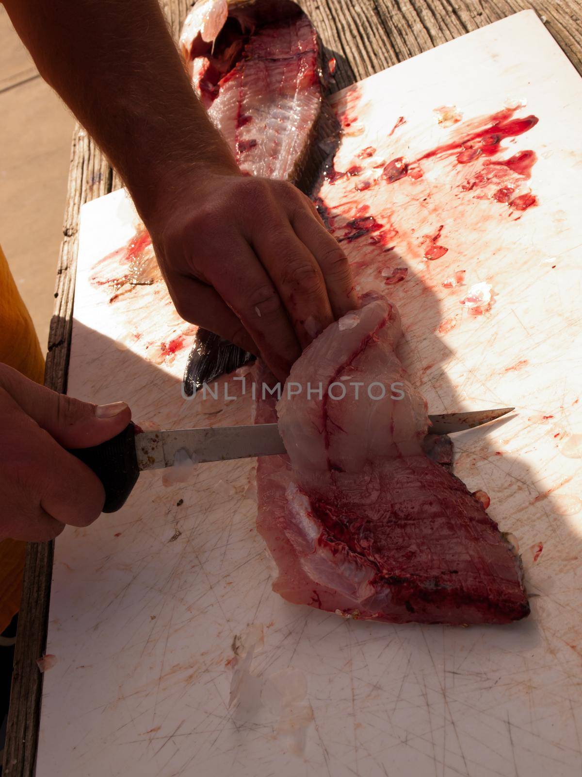 Fisherman cleaning his fresh catch of the day.