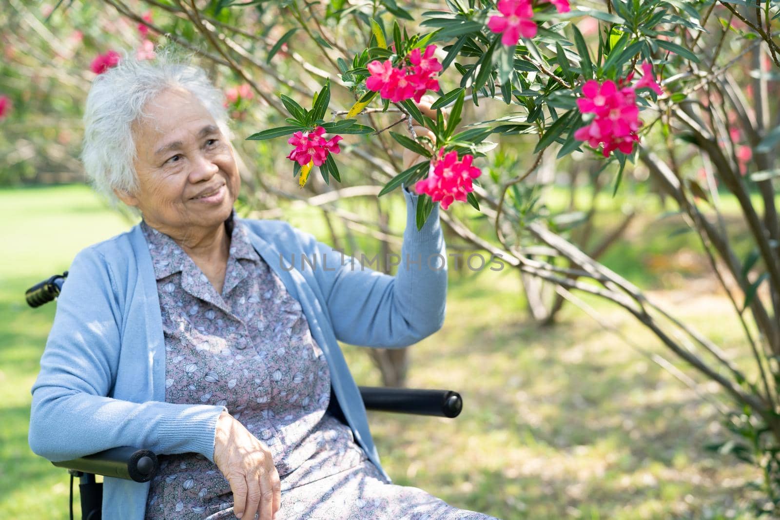 Asian senior or elderly old lady woman holding red flower, smile and happy in the sunny garden. by pamai