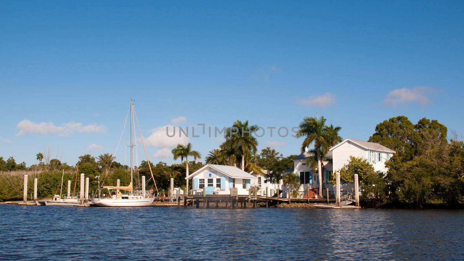 A view of Everglades from the water.