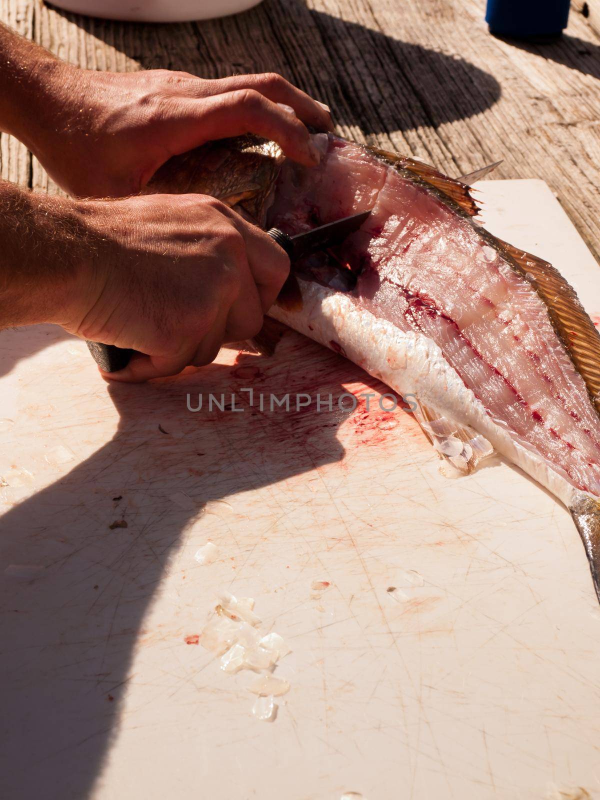 Fisherman cleaning his fresh catch of the day.