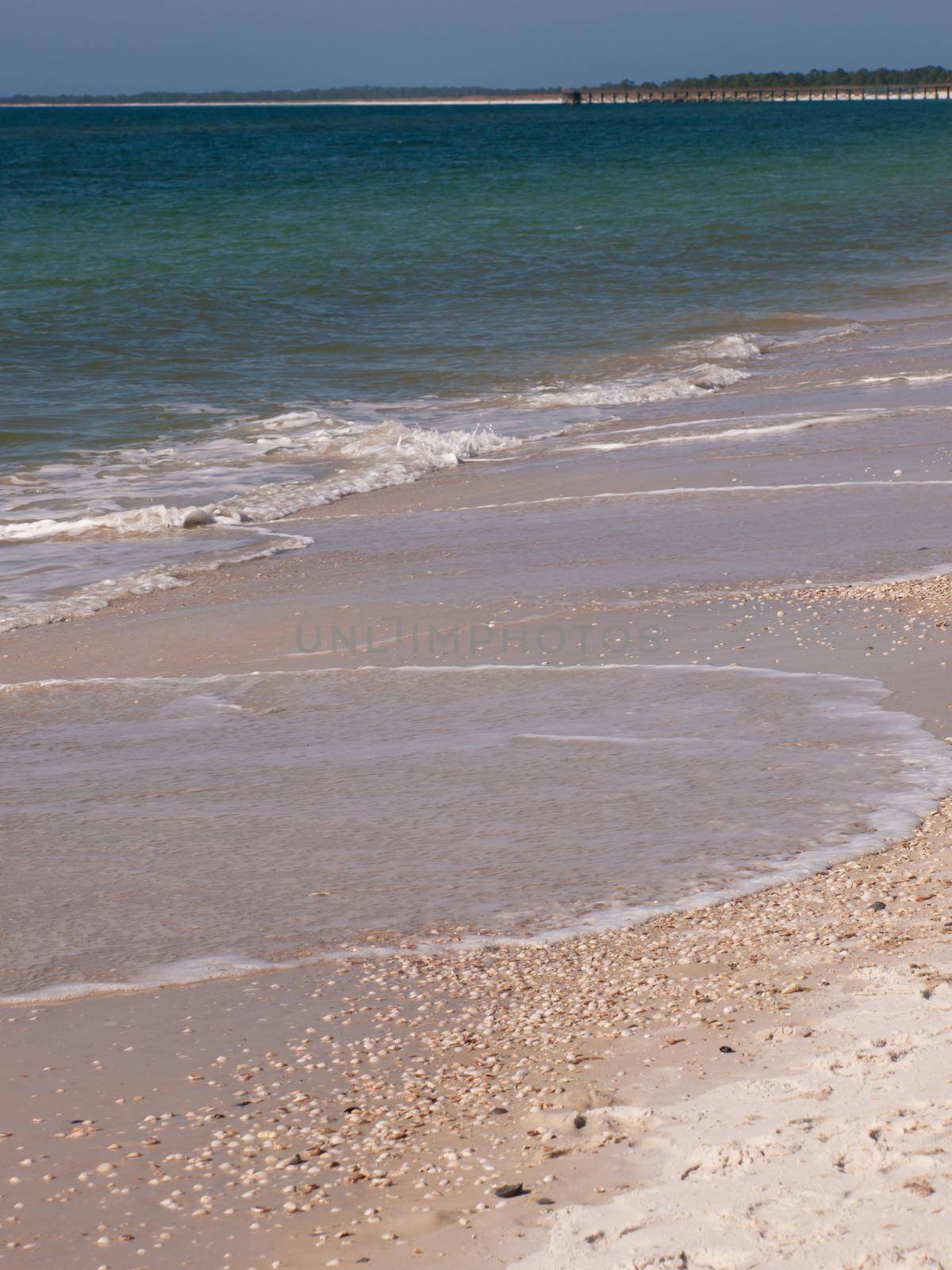 on the Mexico Beach, Florida.