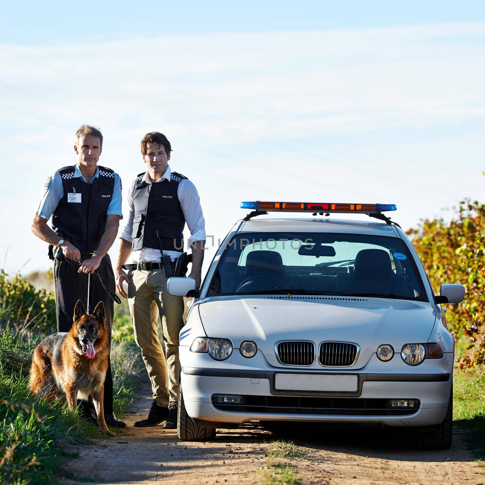 Theyre on the case. policemen and a police dog standing next to their car. by YuriArcurs