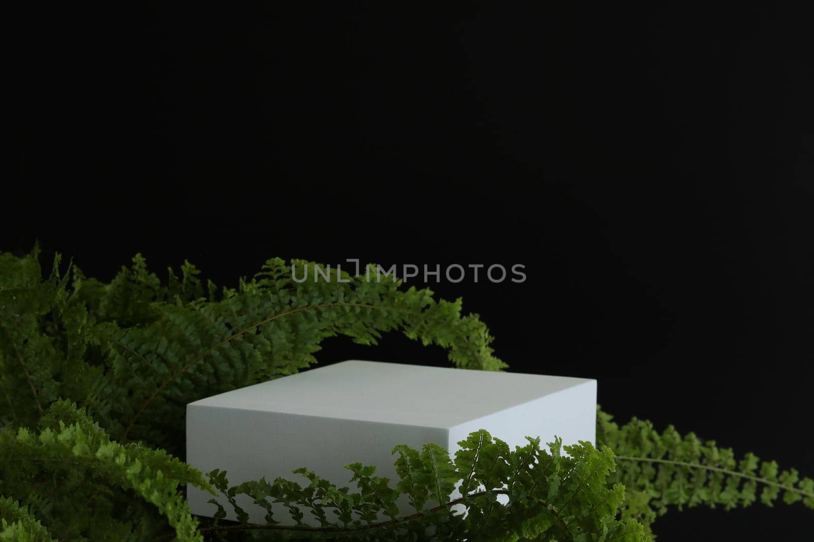 White podium on the black background with tropical leaves. Podest for product, cosmetic presentation. Creative mock up. Pedestal or platform for beauty products. by creativebird