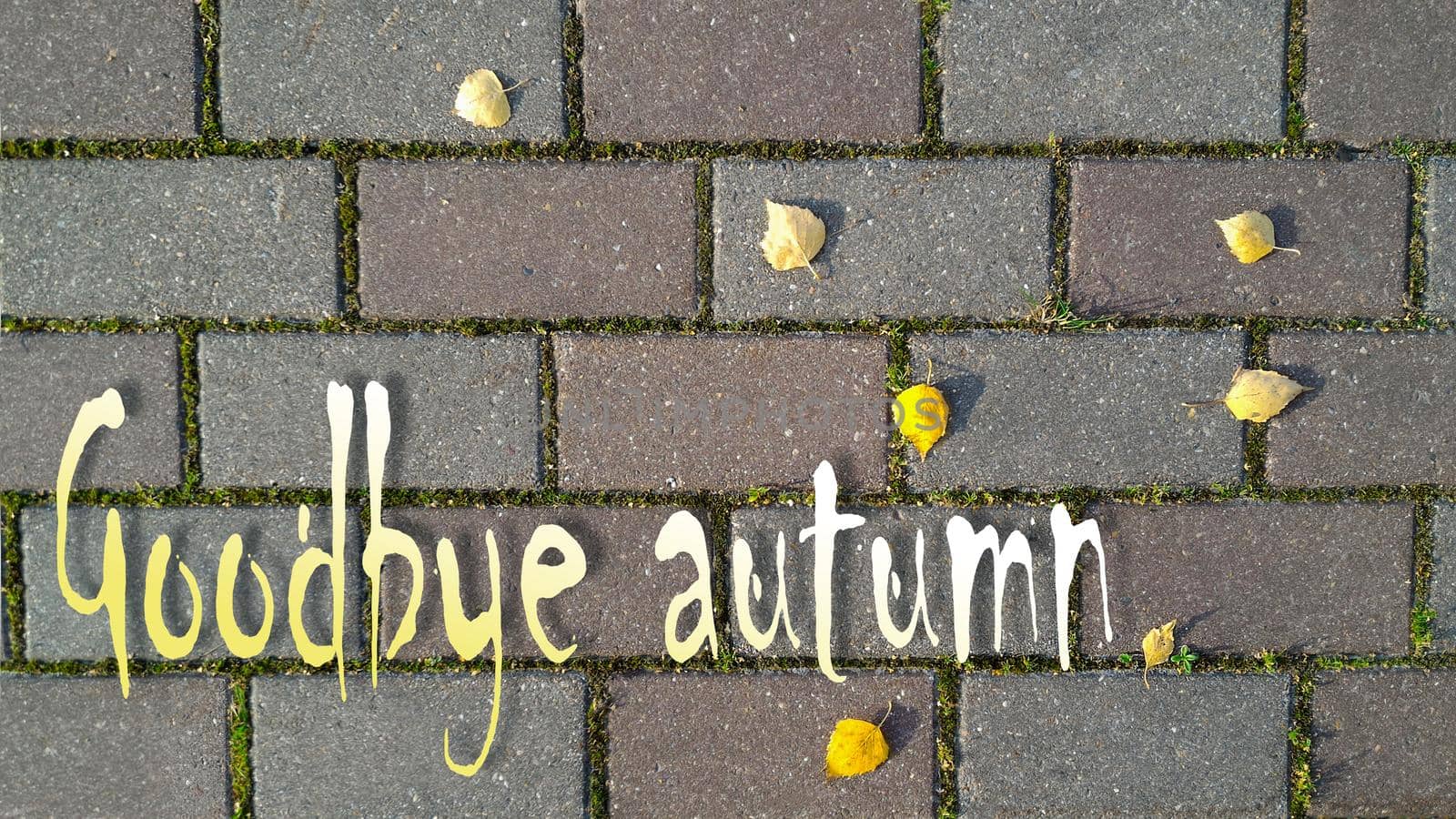 Inscription Goodbye Autumn on background of brick road with sprouted grass between it and yellow autumn leaves. Top view, flat lay by Laguna781