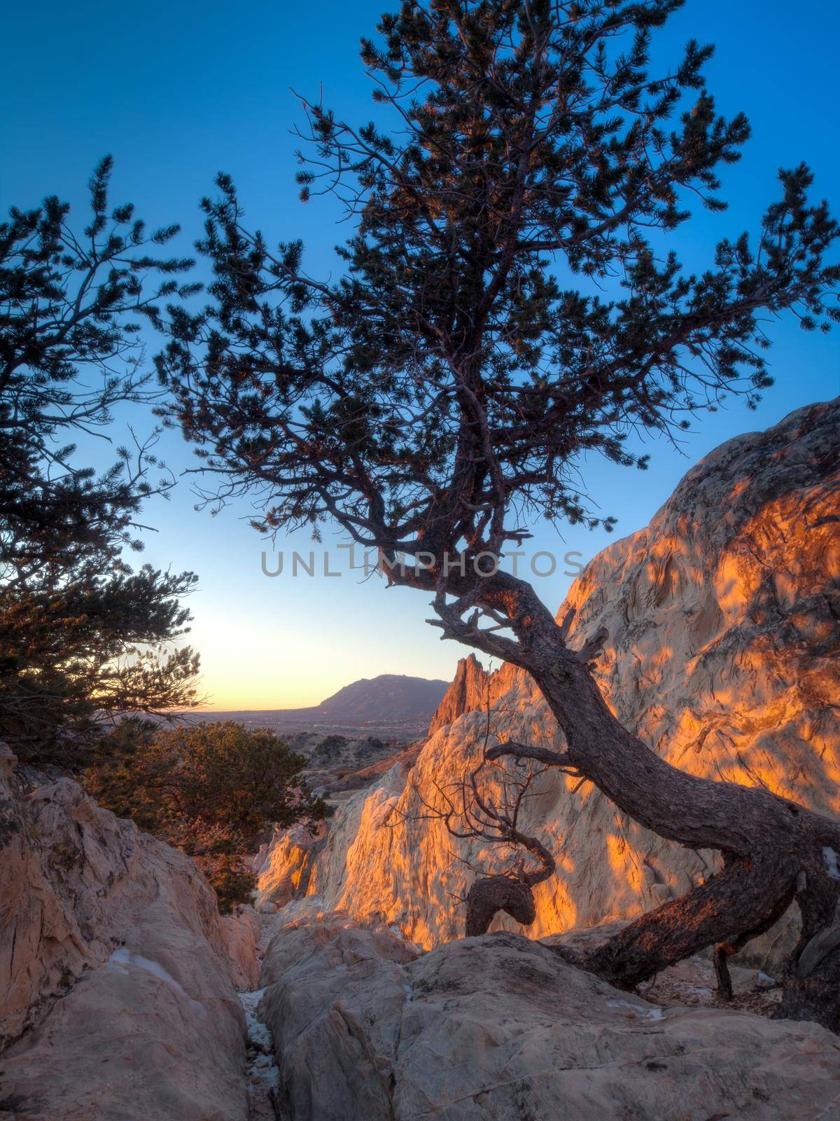 Garden of the Gods by arinahabich