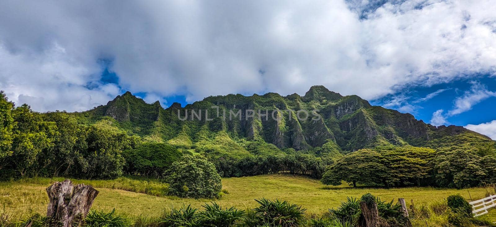 Kualoa mountain range panoramic view, famous filming location on Oahu island, Hawaii by digidreamgrafix