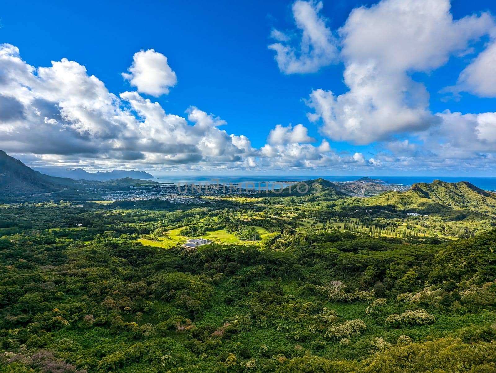 pali look out with beautiful views in oahu hawaii by digidreamgrafix