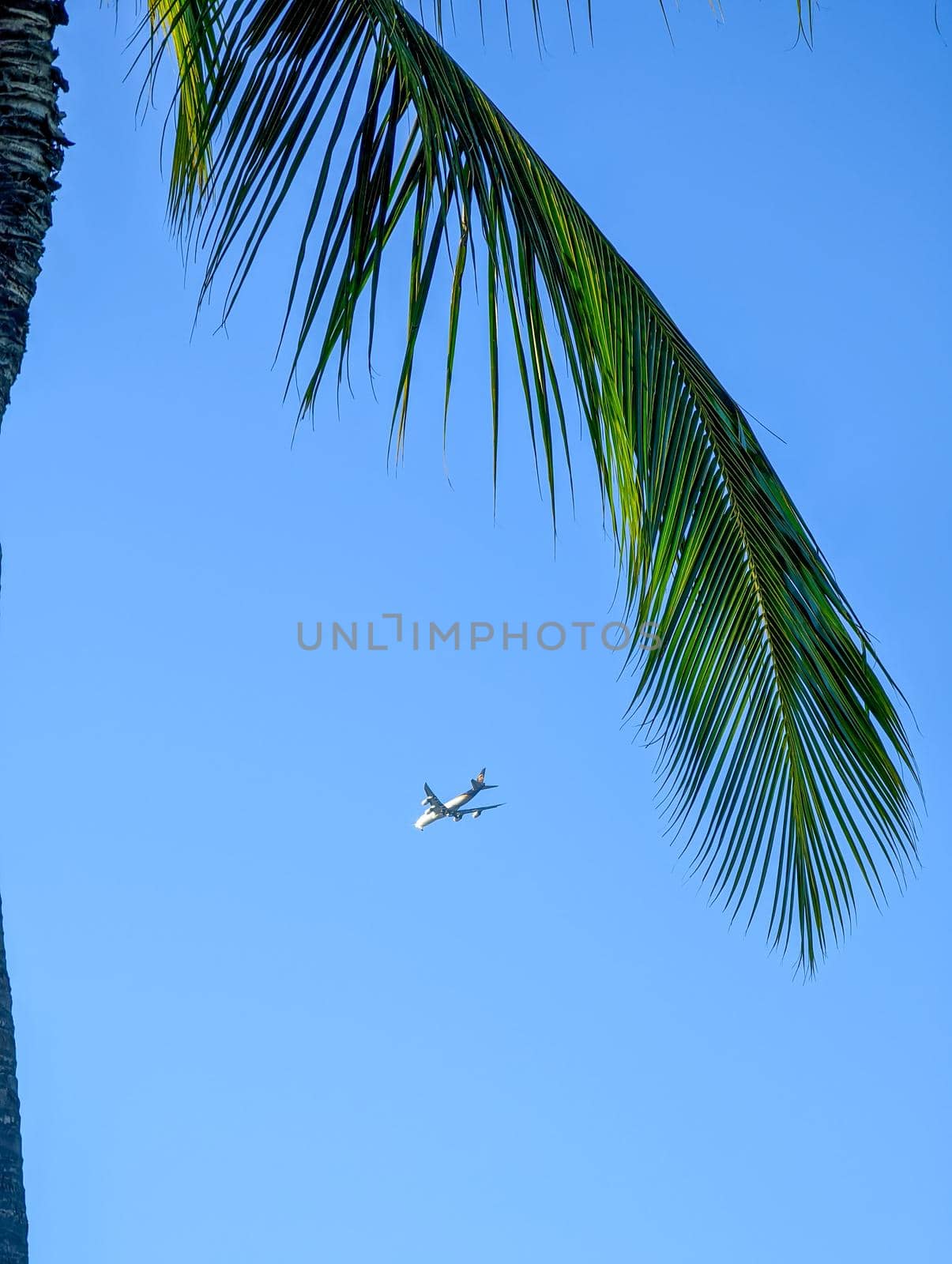 secret beach oahu island hawaii