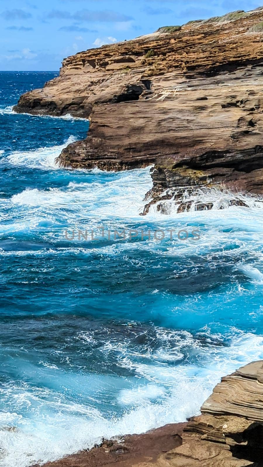 Tropical View, Lanai Lookout, Oahu Hawaii by digidreamgrafix