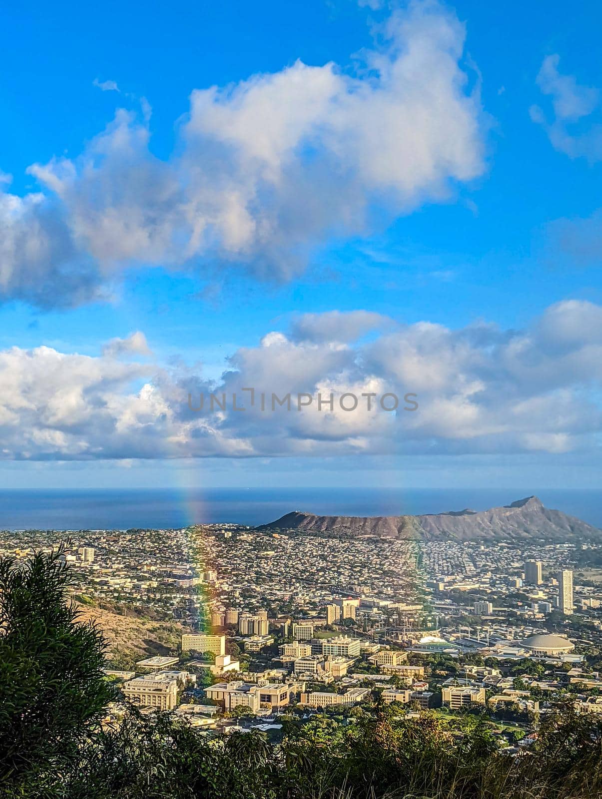  Waikiki and Honolulu from Tantalus Overlook on Oahu by digidreamgrafix