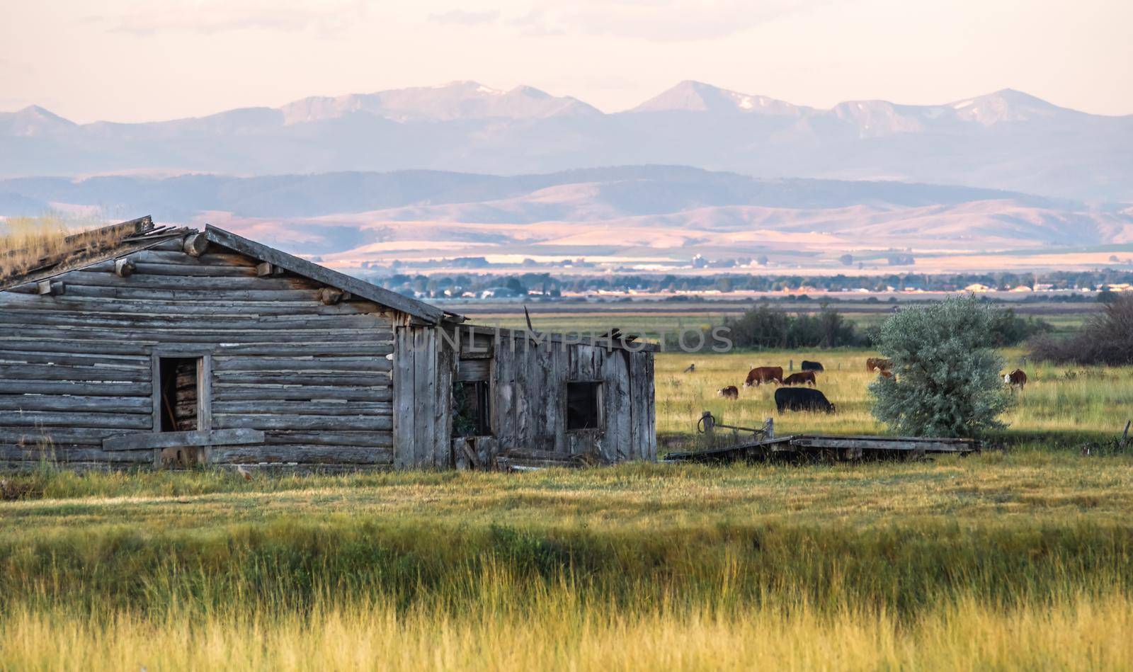 Classic Old Barn and Silos Landscape by digidreamgrafix