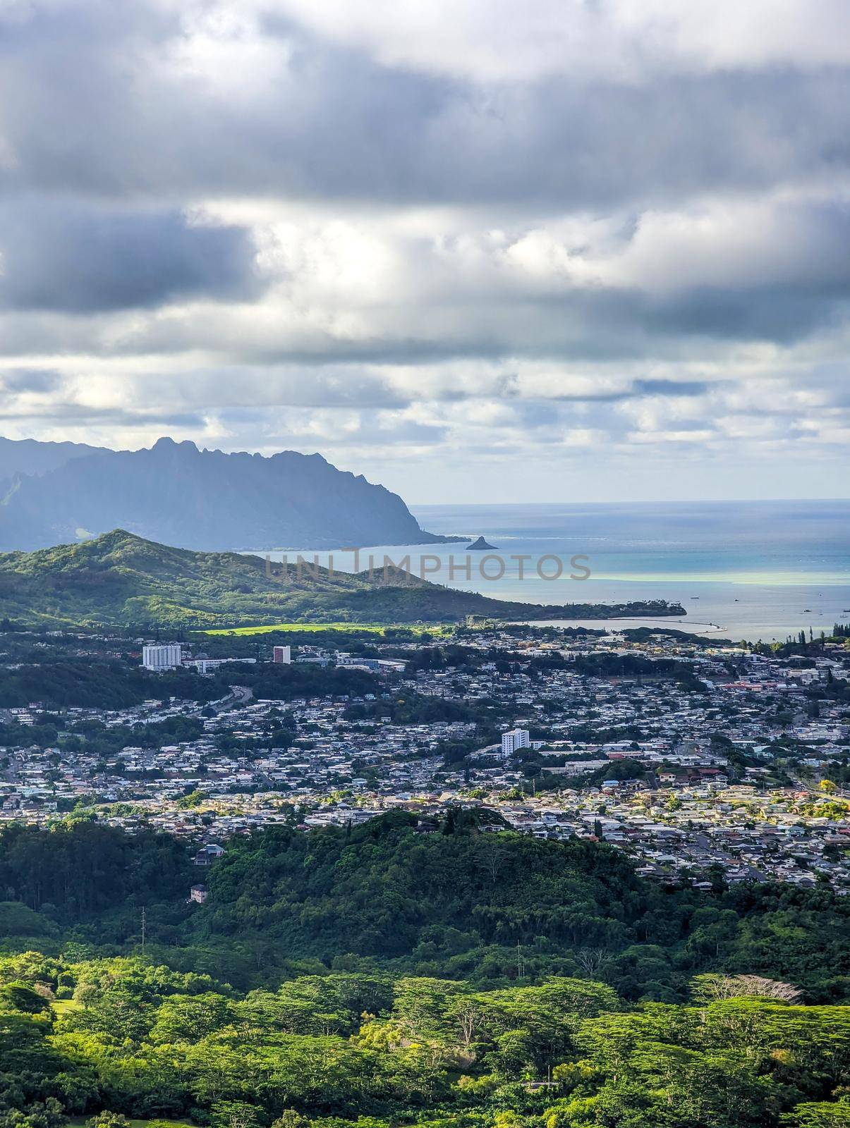 pali look out with beautiful views in oahu hawaii by digidreamgrafix